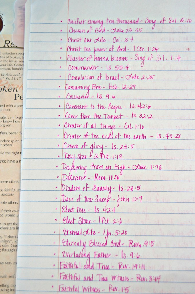 Prayer Notebook 8
