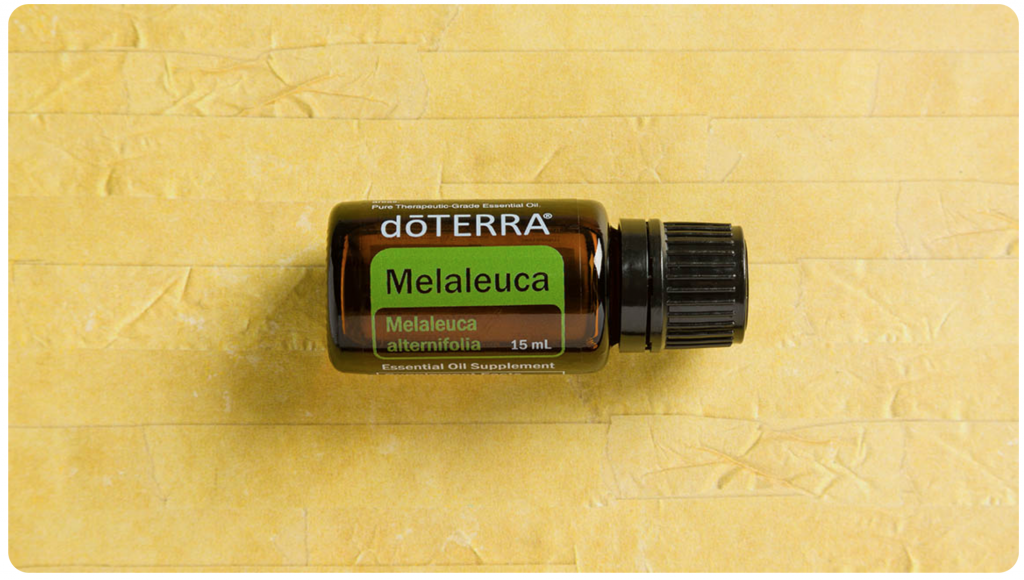 10-ways-to-use-melaleuca-the-healthy-happy-woman